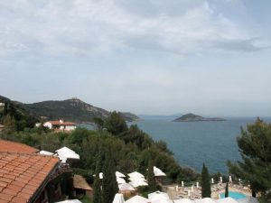 Il Pellicano