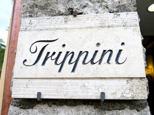 Trippini