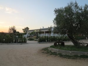 Masseria Petrino
