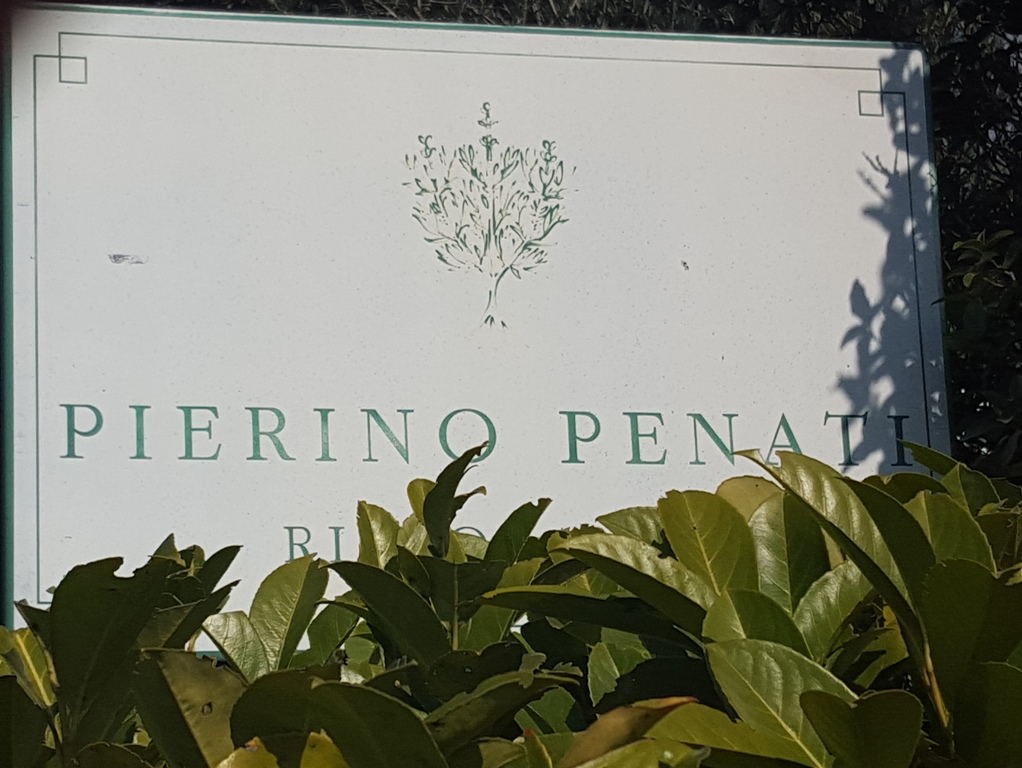 Pierino Penati