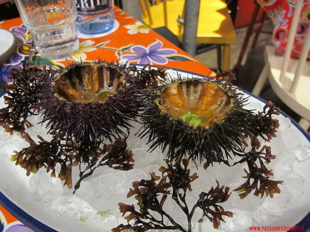 barcellona, adrià, nino viejo, ricci di mare