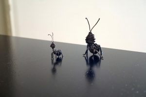 Iannotti, Kresios, formiche