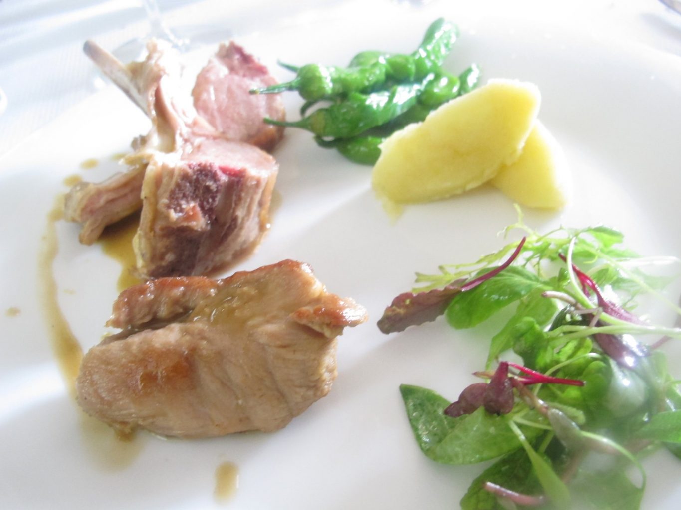 Agnello, Papavero.
