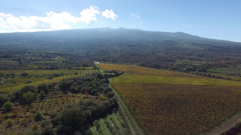 Le Contrade dell'Etna
