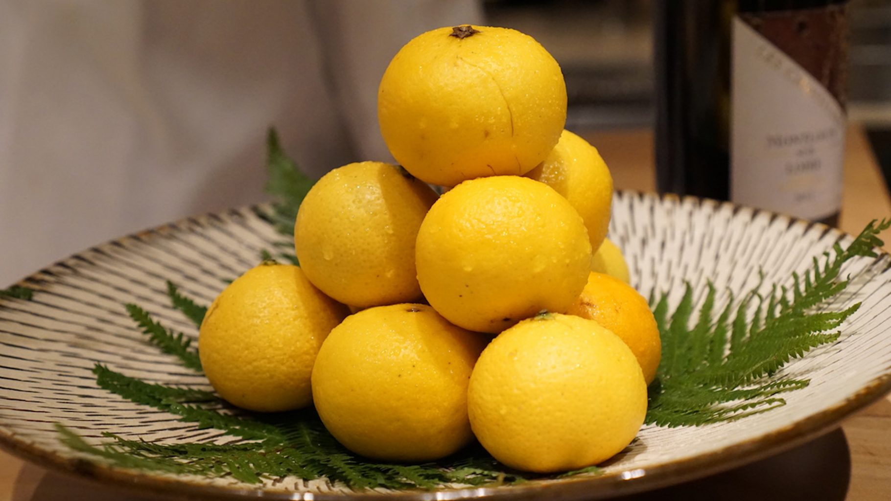 Sugalabo, genko citrus