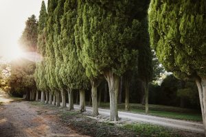 Biondi Santi, visita alla Tenuta Greppo