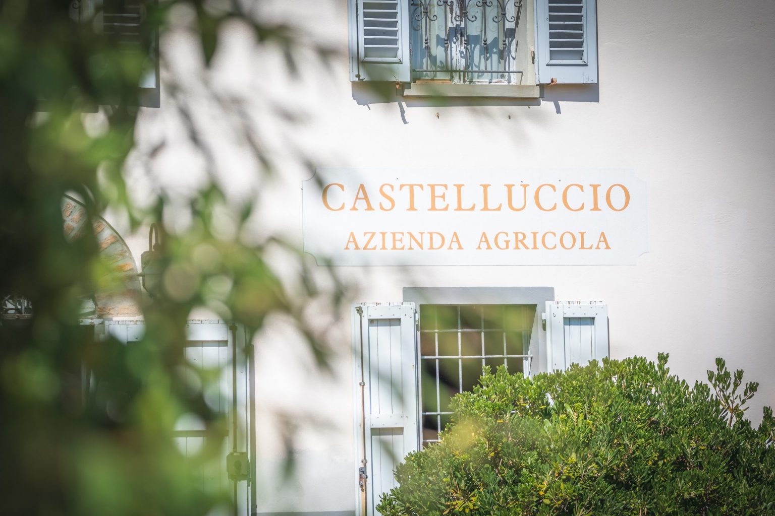 castelluccio