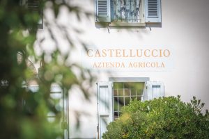 castelluccio