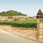 Marqués de Murrieta