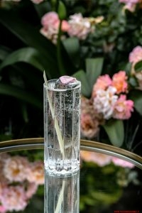 como lake cocktail week