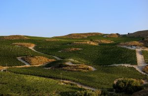 Fosnuri e la luce di Sicilia