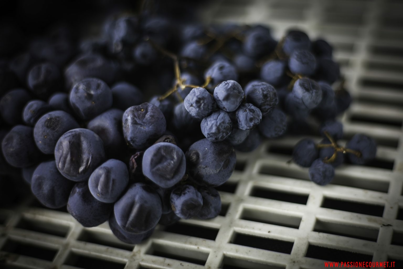 Amarone 2012