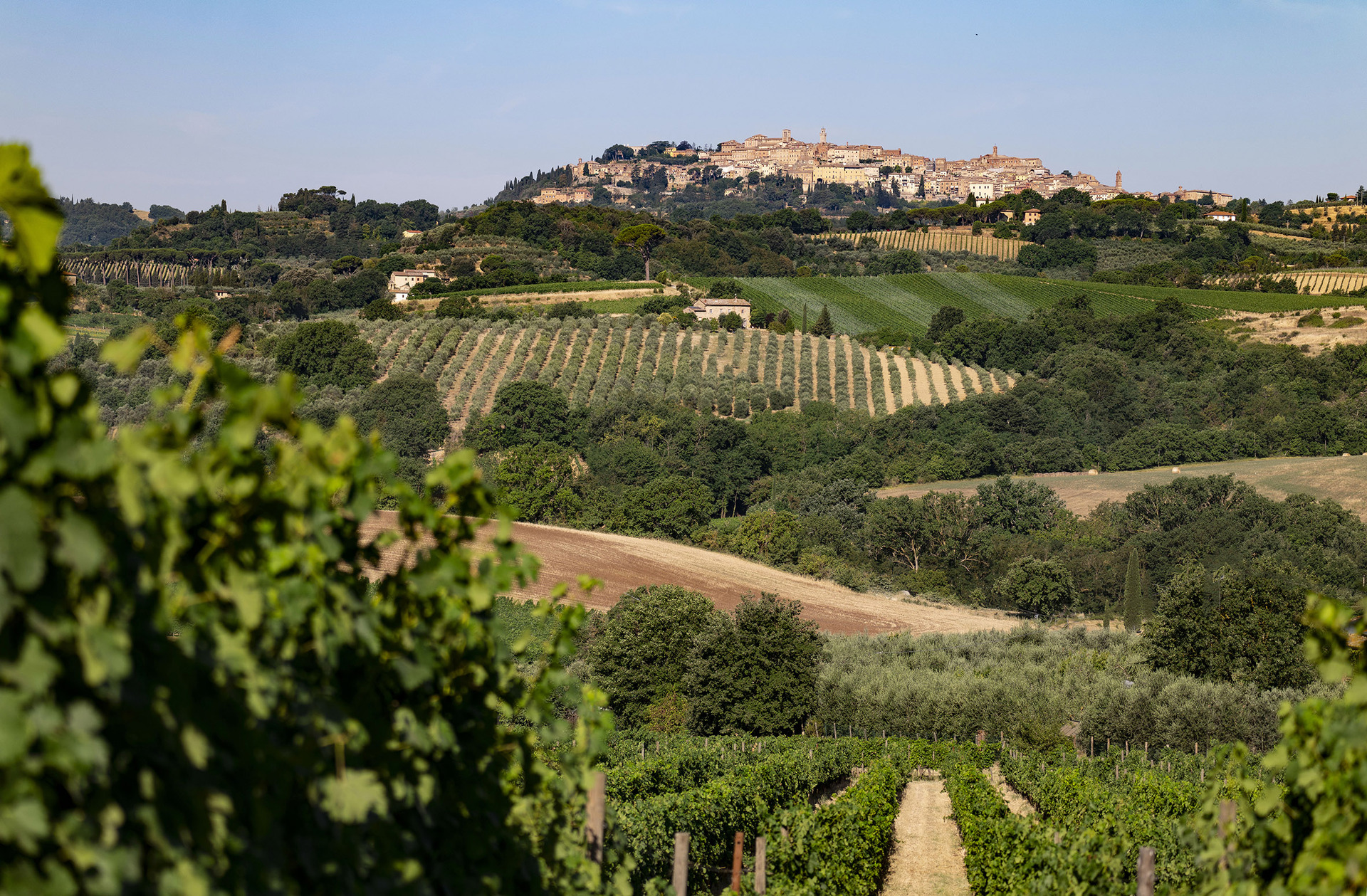 tenuta calimaia