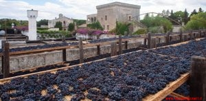 Vallone e il Negroamaro