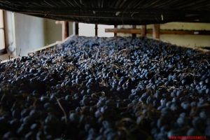 Amarone Opera Prima 2023