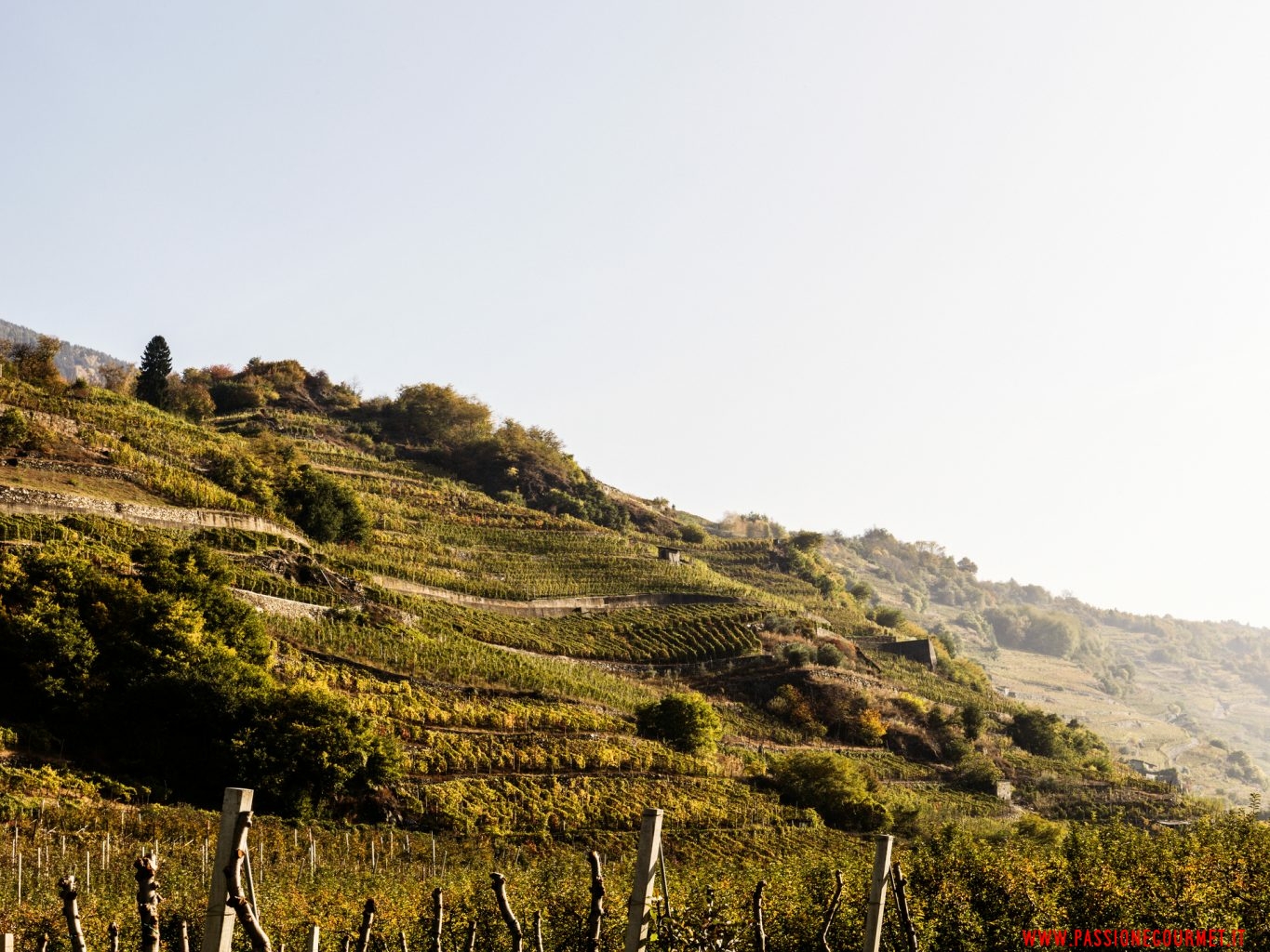 obiettivo valtellina