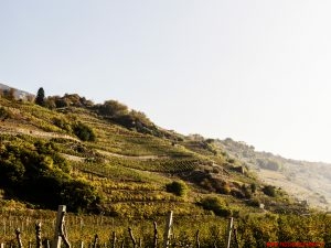 obiettivo valtellina