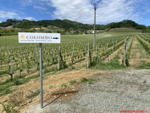 Colombo Cascina Pastori