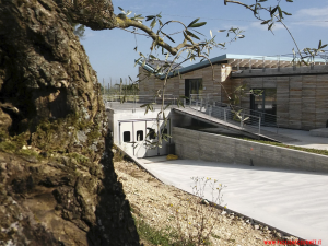 Azienda Agricola Fiorentino