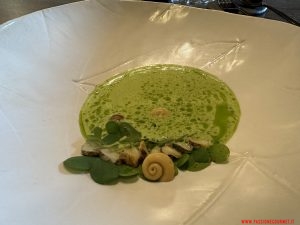 Aponiente