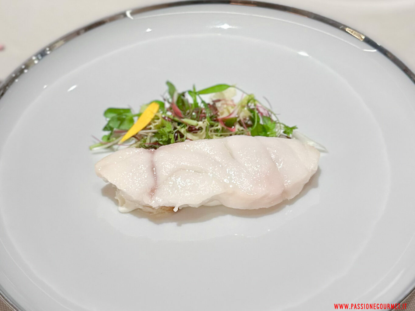 Dentice, mascarpone, acciughe, insalata di germogli.