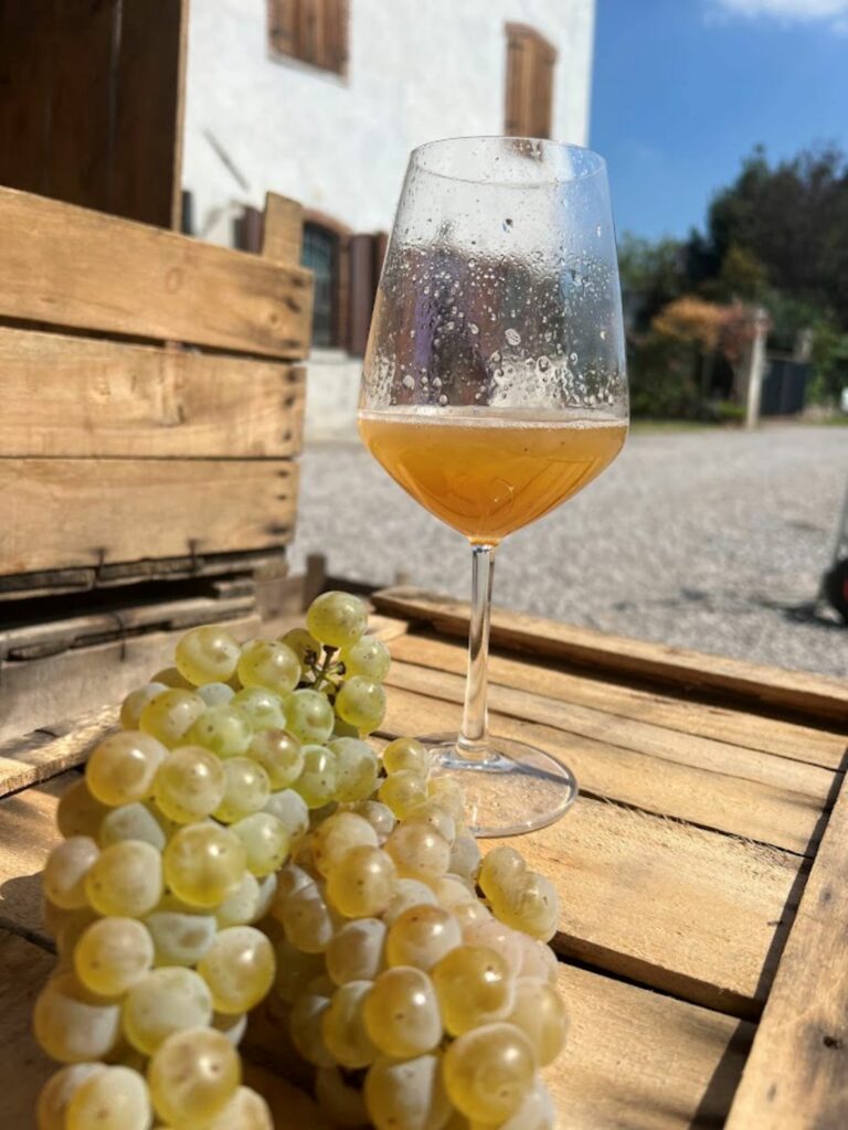 Assaggio di Johanniter 