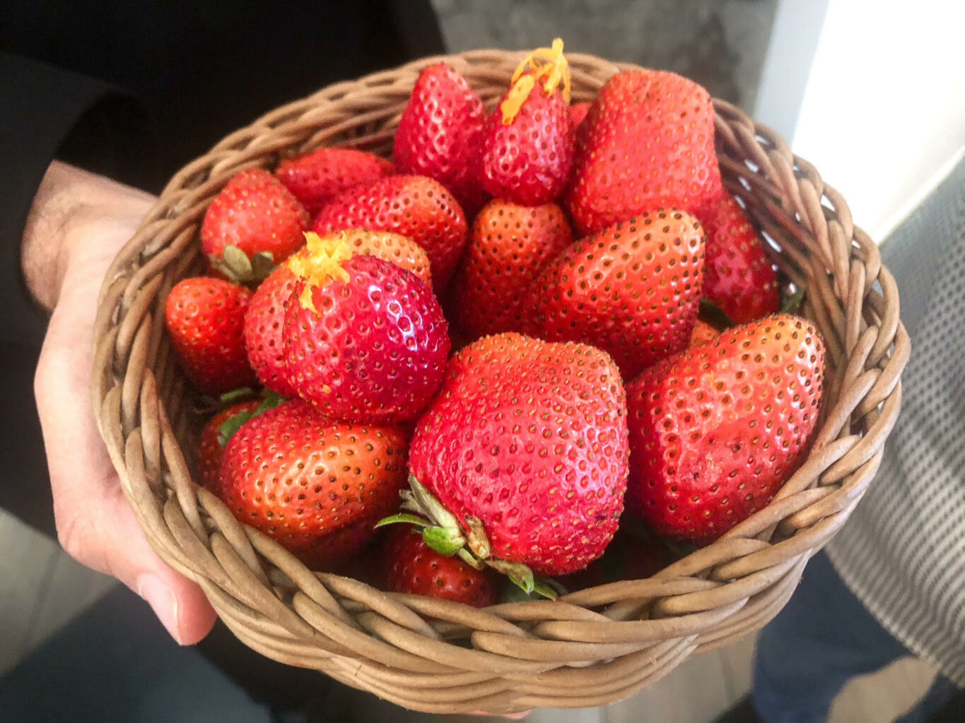 Le fragole offerte dal ristorante Piazzetta Milù