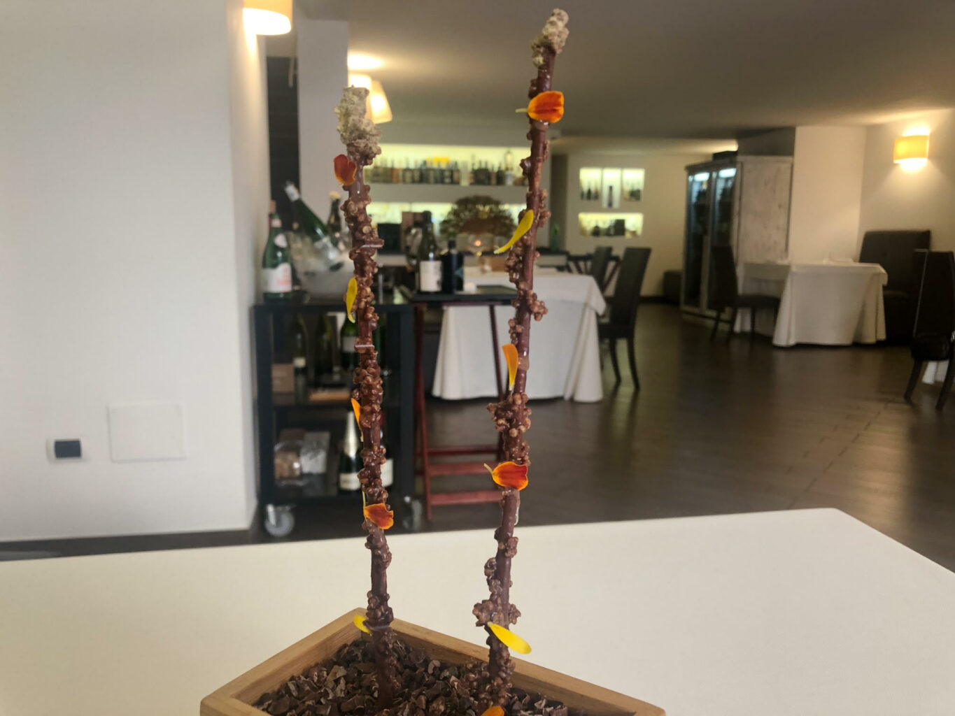 Grissini salati, miscela di cioccolati Valrona, caramello salato, semi di quinoa croccanti, polvere di frutti esotici.