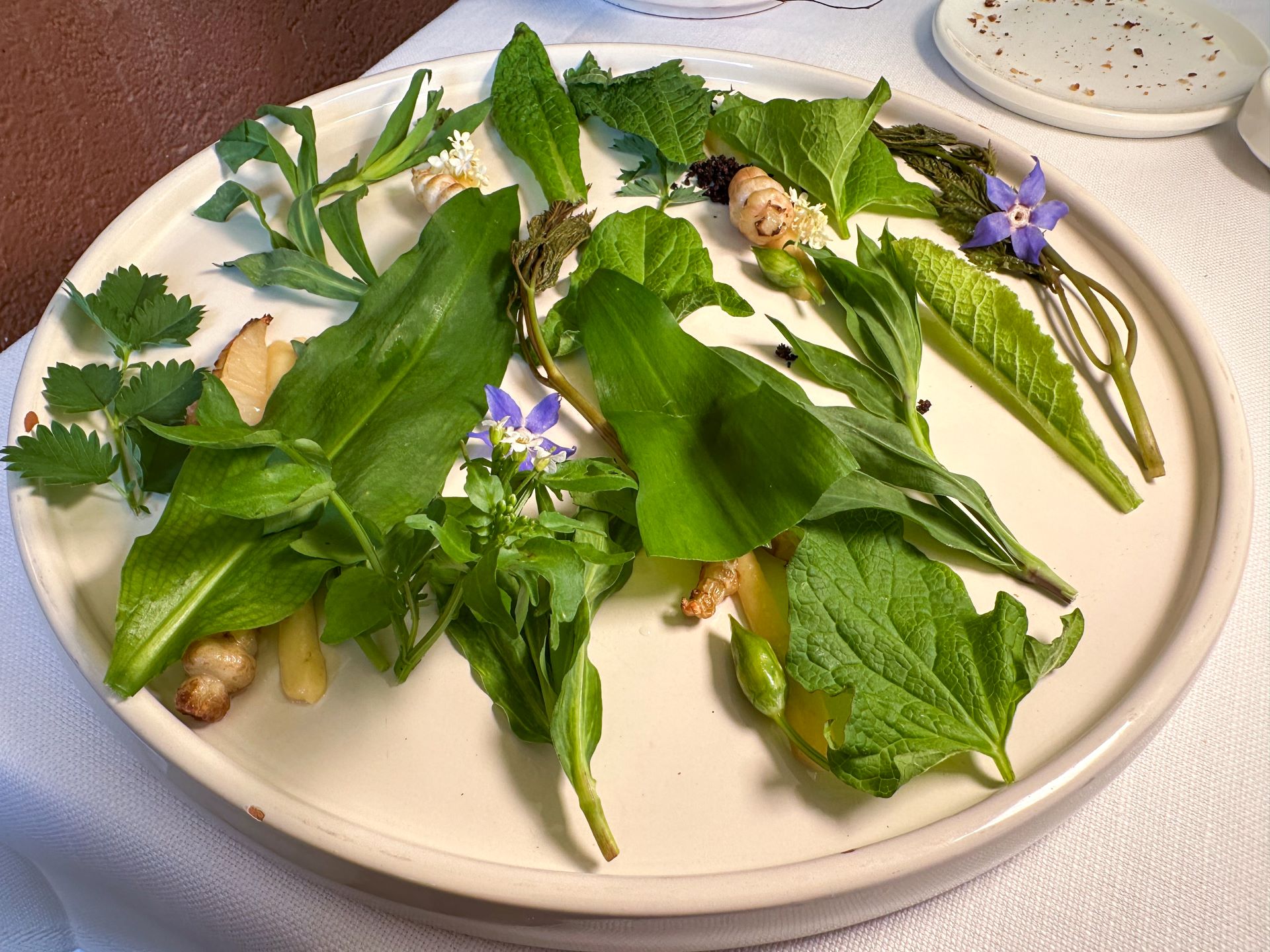 Insalata 100 1200 delle montagne Gardesane.