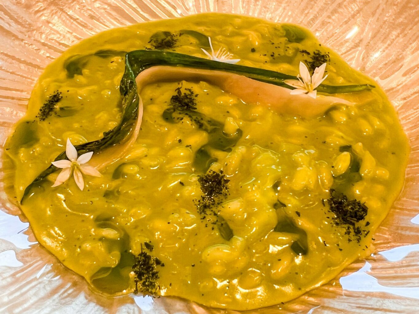 Risotto all'aglio orsino, lardo e crudo di seppie di Casa Romano.