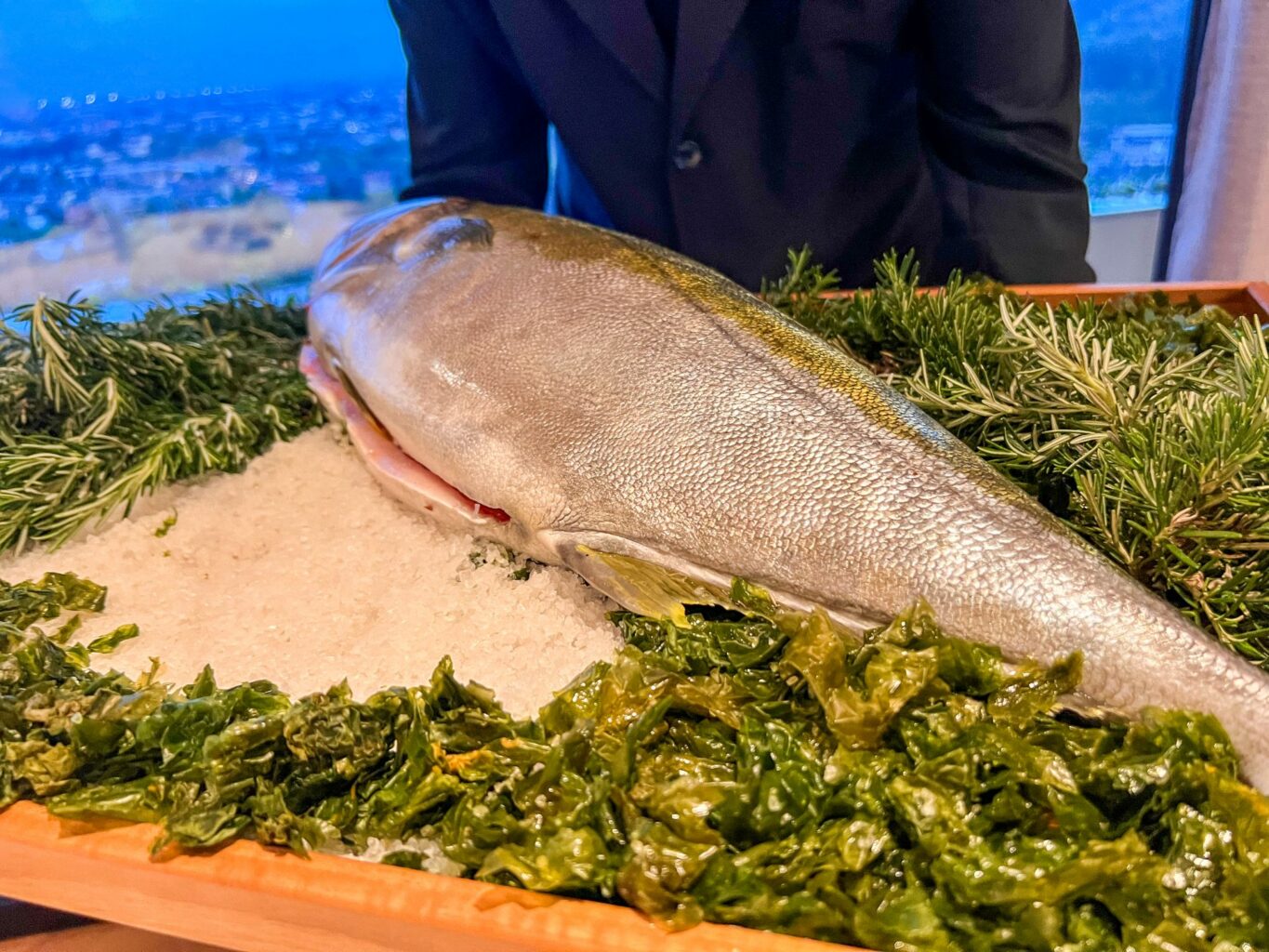 Una splendida Ricciola.