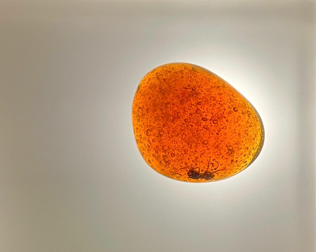  Amber: le formiche rosse del legno sono intrappolate nel miele della Tasmania e nelle caramelle allo zenzero e circondate da un guscio di cera d'api e zucchero. Il finale del pasto all'Alchemist.