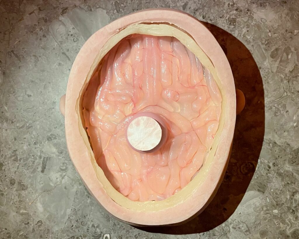 Food For Thought: una meringa alla ciliegia farcita con mousse di cervello d'agnello e gel alla ciliegia, guarnita con una crostata di cervello d'agnello liofilizzato.