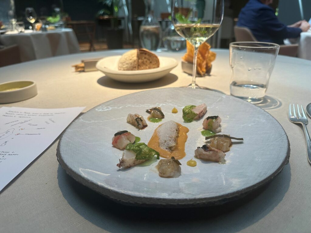 Insalata di pesce, succo di erbe, crudo di scampo, mazzancolla, branzino, canocchia.