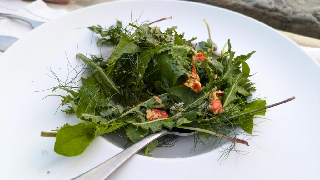 Insalata d'erbe.