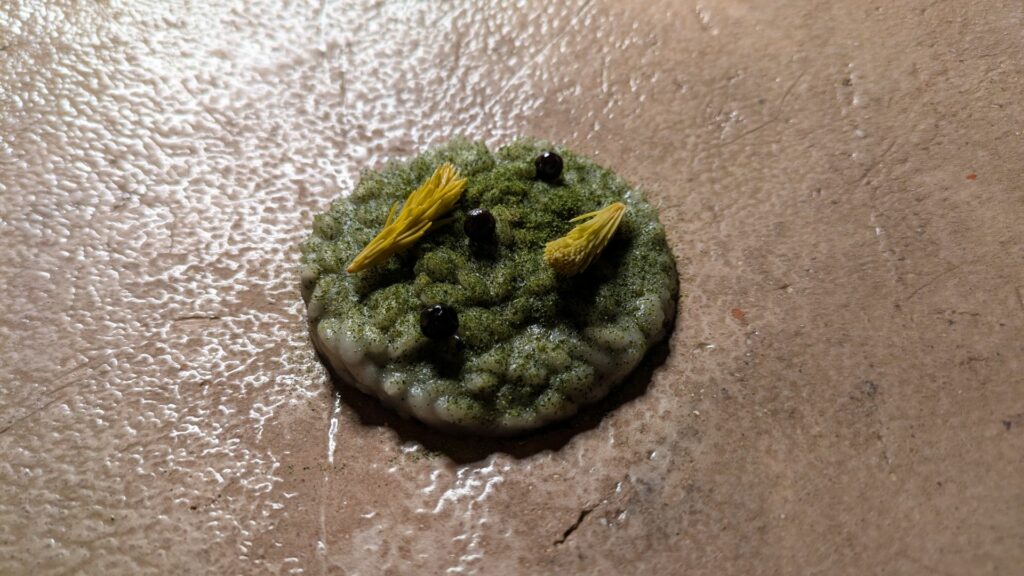 Risotto all'Oltre Alpe, verbena, ginepro e gemme di pino in agrodolce del ristorante El Molin.