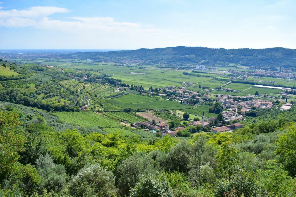 Valle est