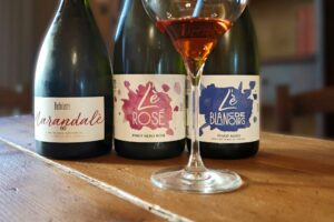 I vini di Barbaterre