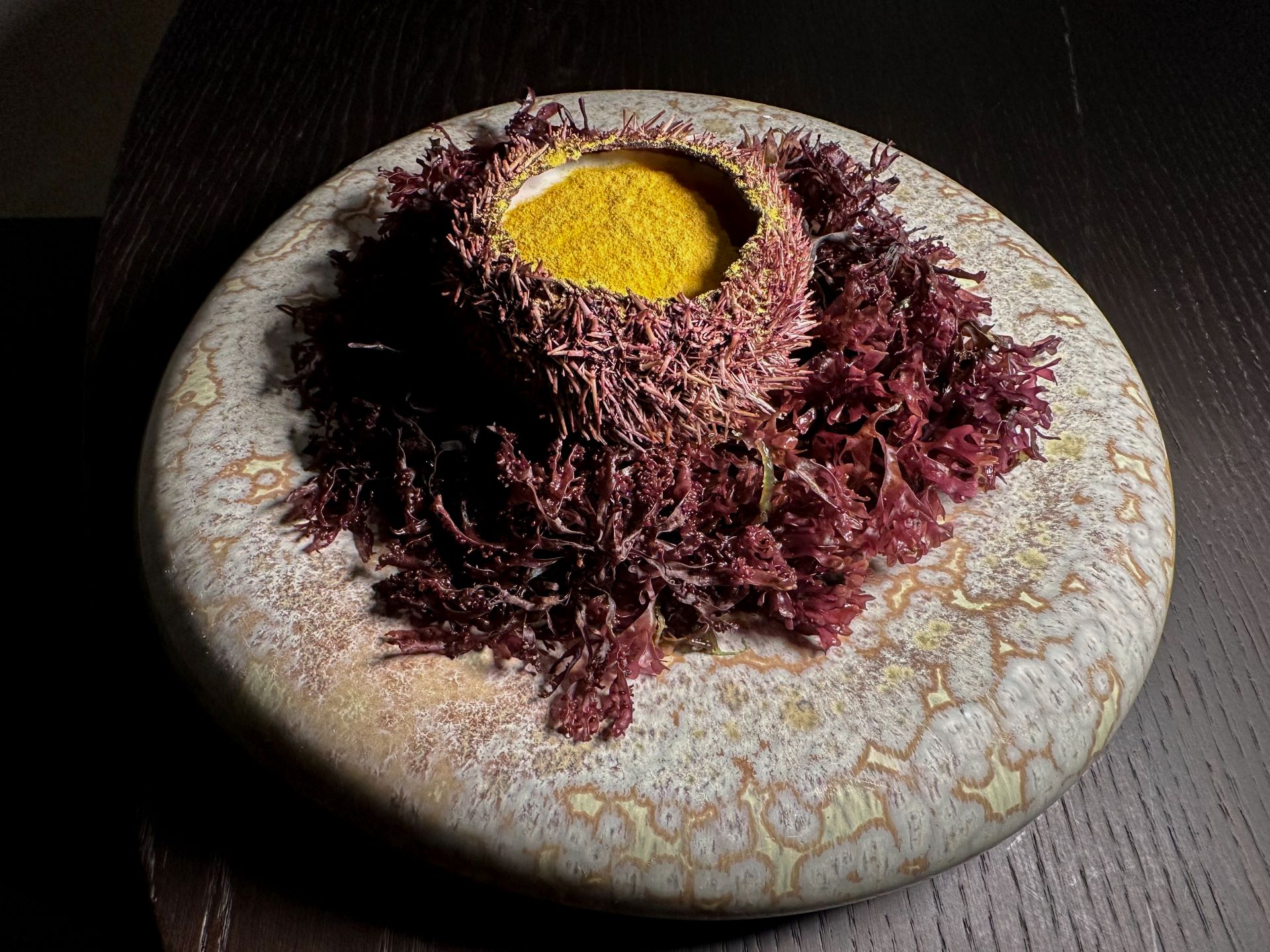 Tuorlo d'uovo marinato con emulsione di riccio di mare, lingua di riccio verde islandese, limone bruciato, spuma d'albume e polvere di alga gialla.