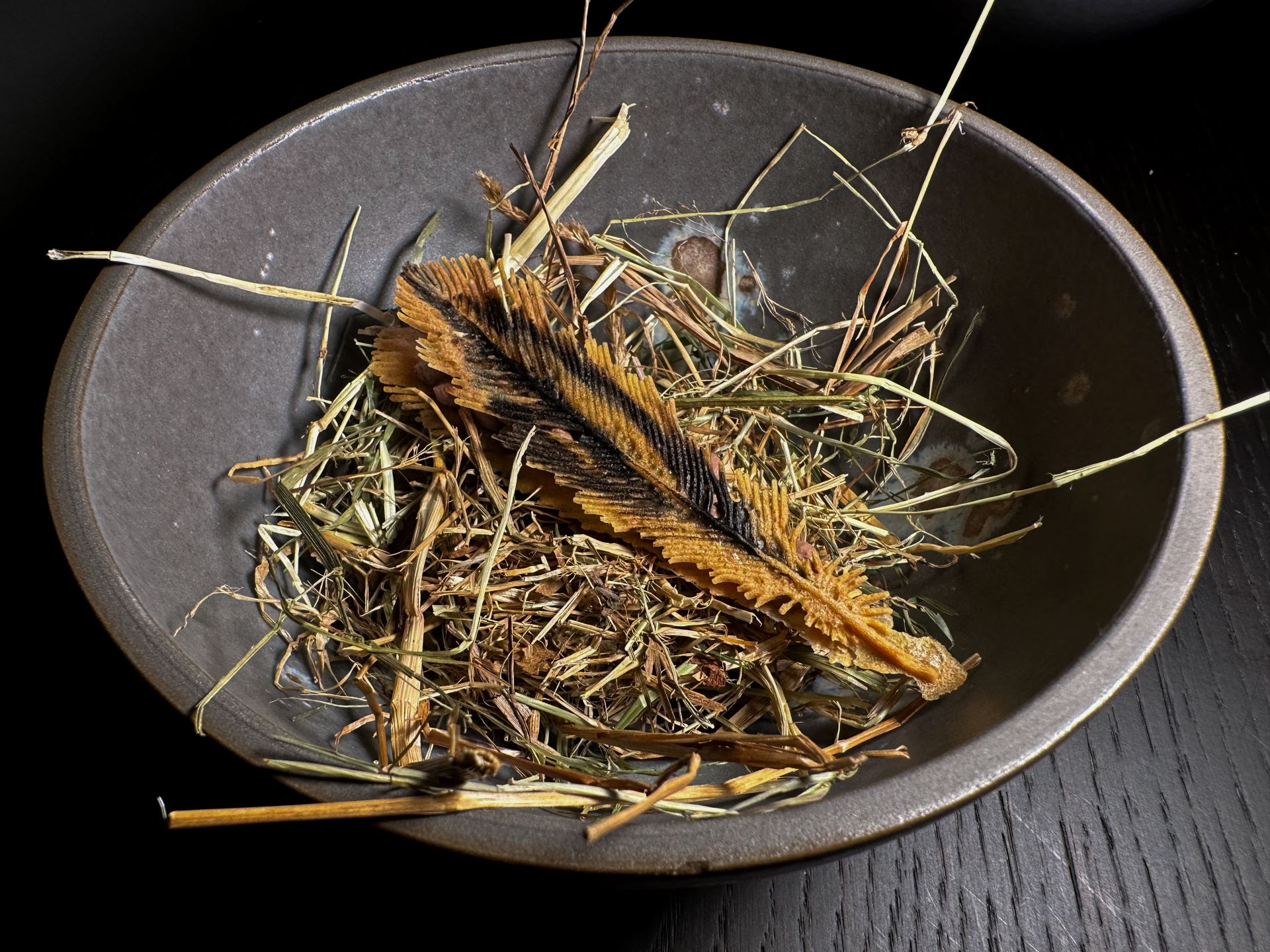 ... finta piuma farcita con crema di fegato di piccione.