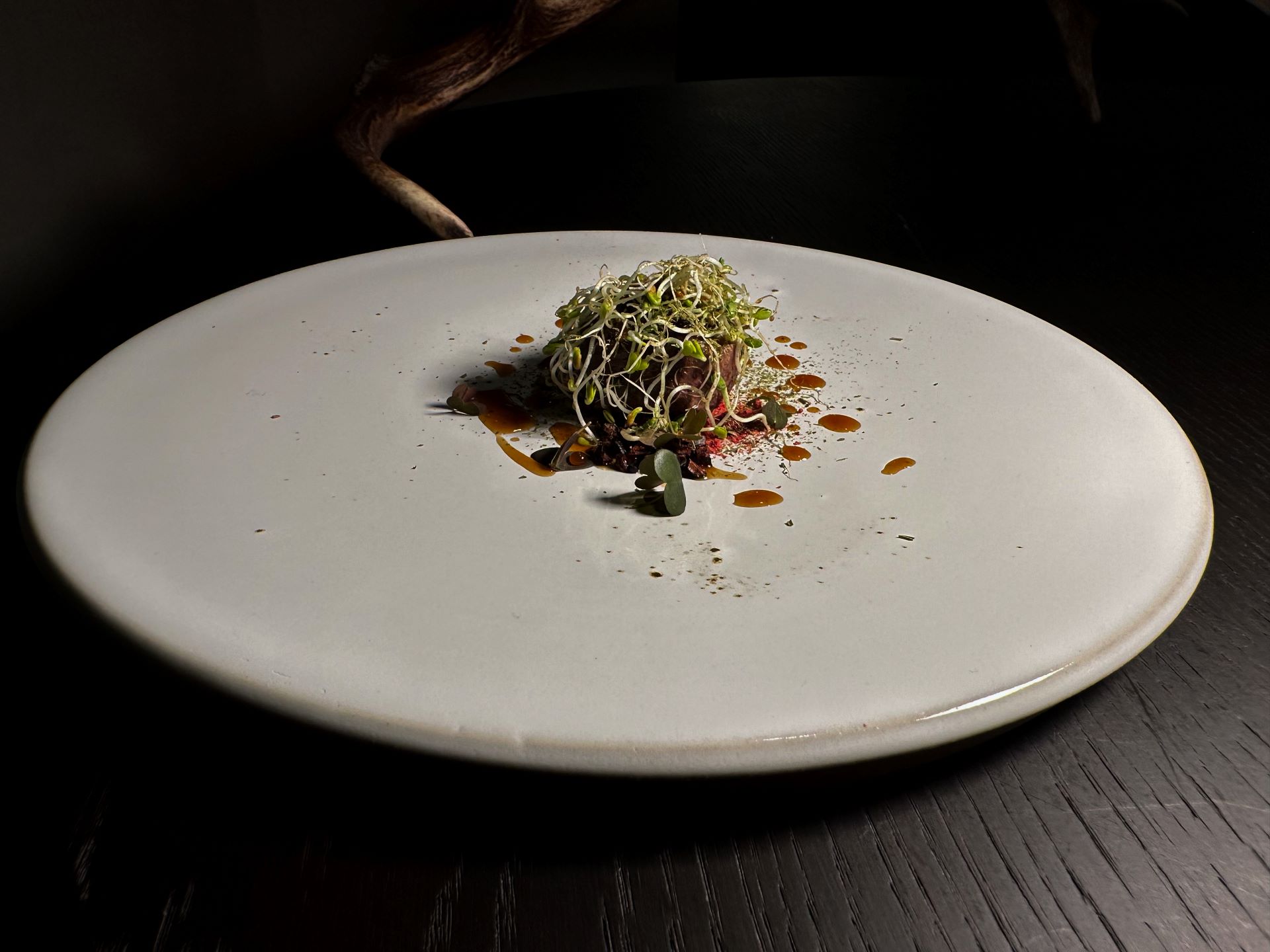 Filetto di cervo rosolato e nappato con burro al mirto, crue di cacao, polvere di mirtillo rosso e pino, germogli di trifoglio verde e rosso, finitura con fondo di cervo...