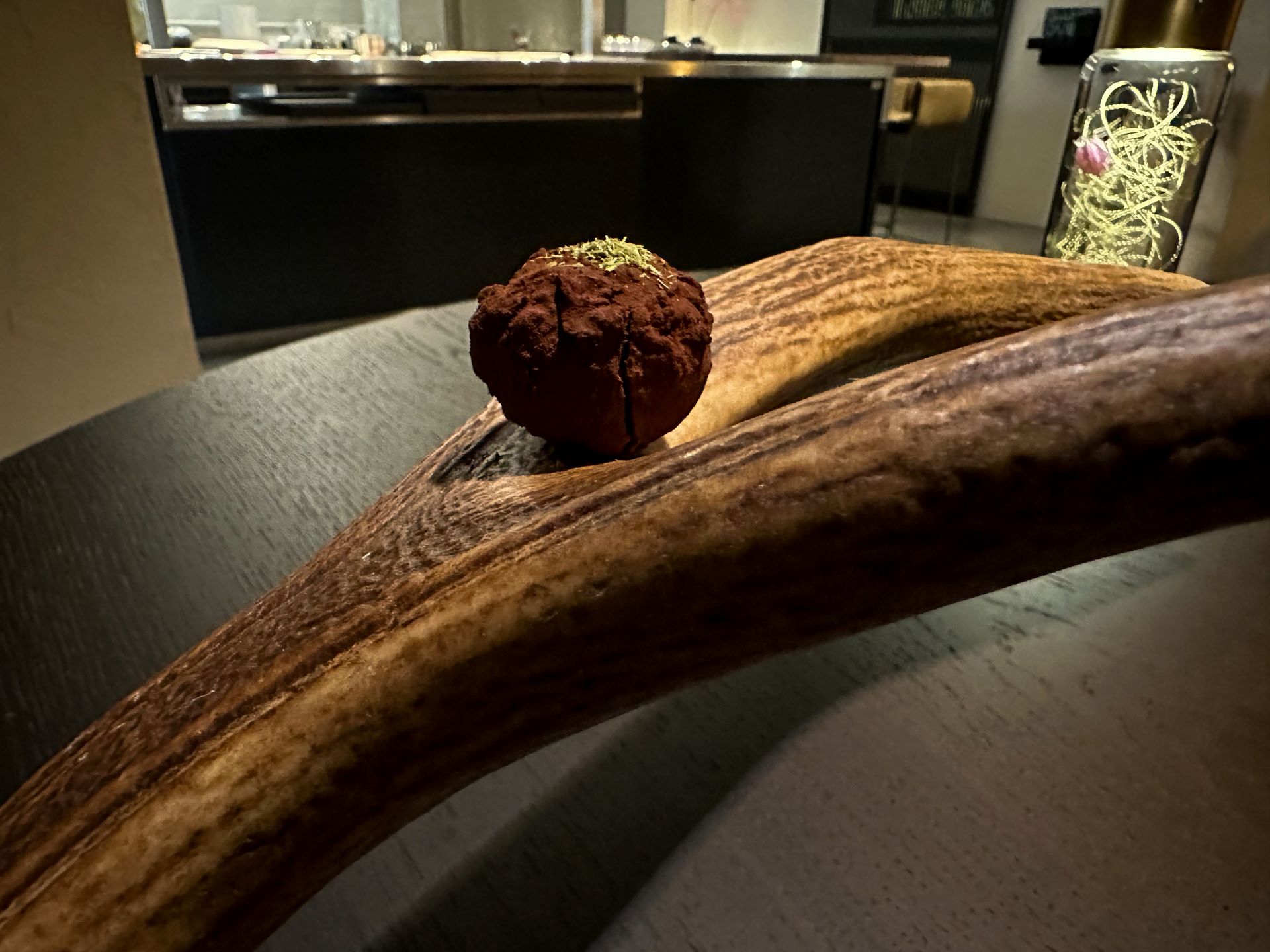 ... battuta di filetto di cervo con cacao, ibisco e polvere di pino. 