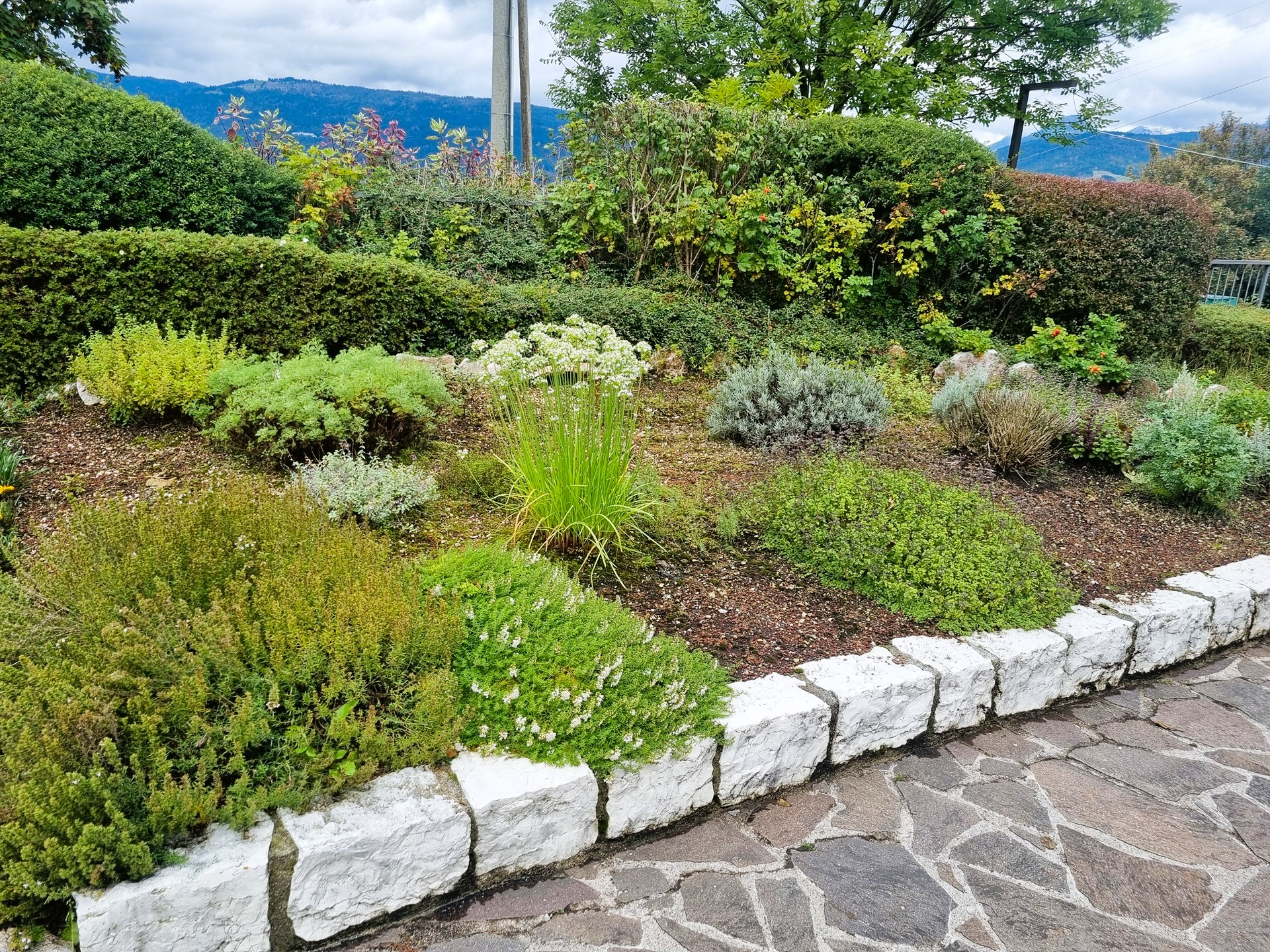 L'orto del ristorante la tana gourmet