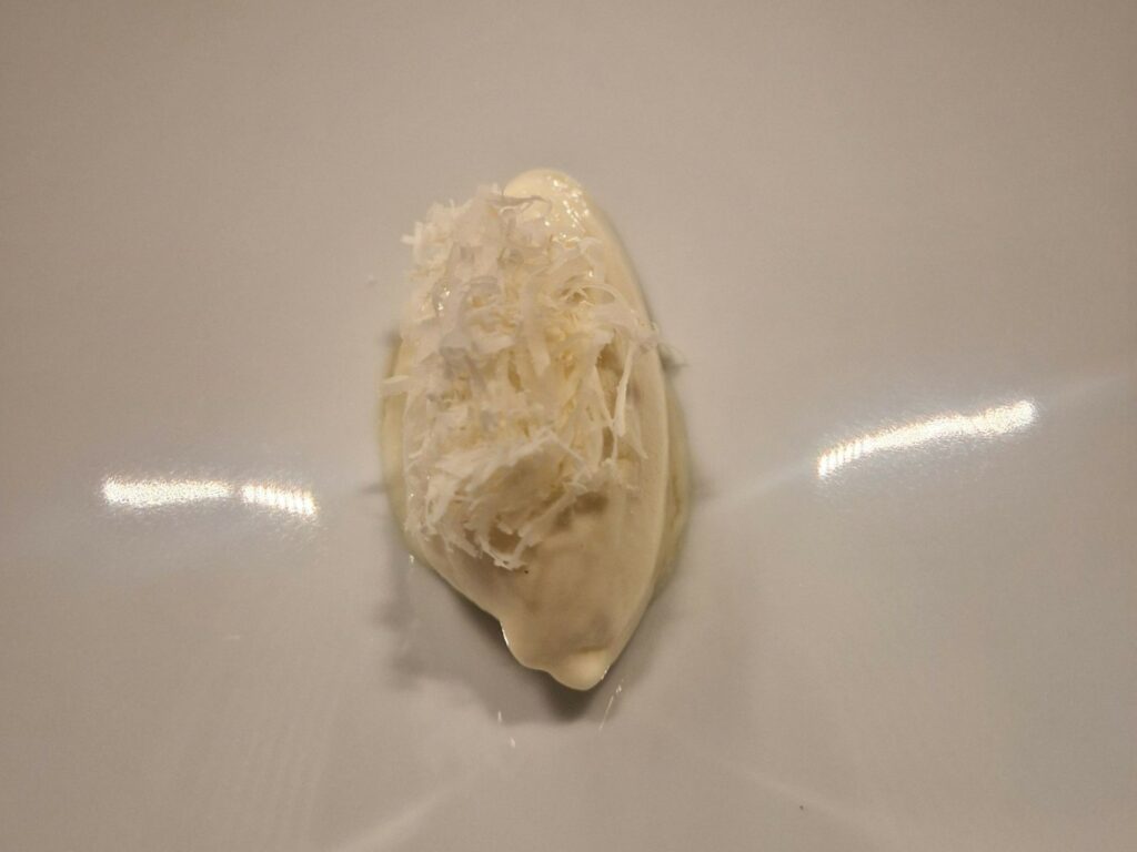 Gelato di pasta stracotta, croste di parmigiano, whisky torbato, rafano del ristorante Retroscena