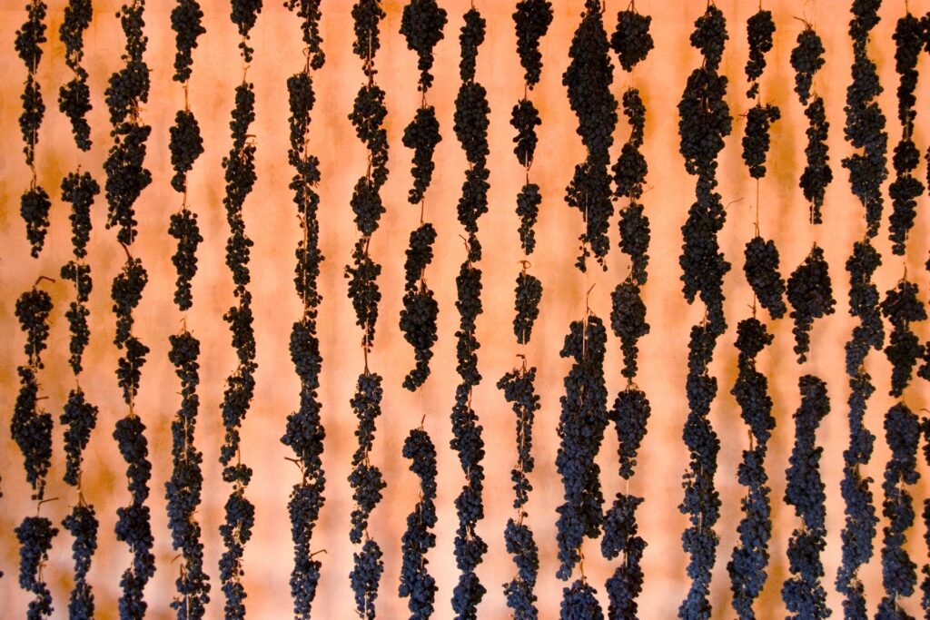 uva in appassimento per l'Amarone 2025