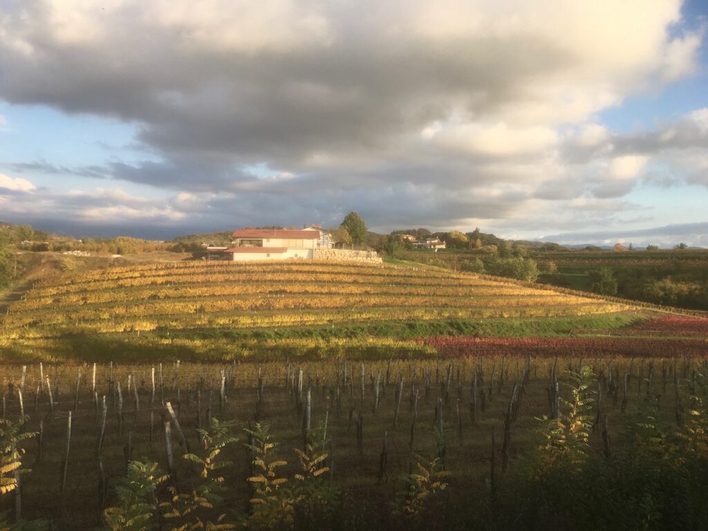 la cantina di Riccardo Marcuzzi