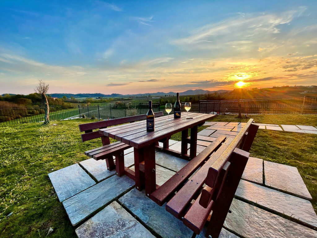La vista sulle vigne dalla cantina