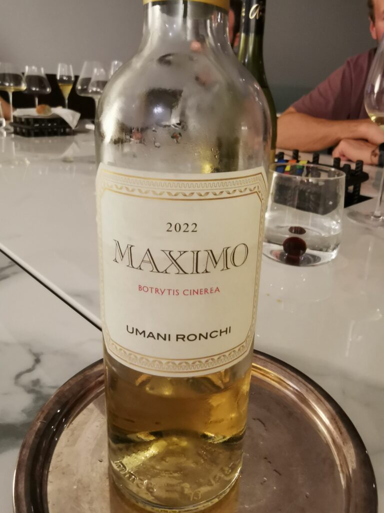 Un ottimo vino da meditazione, Sauvignon Blanc 100%