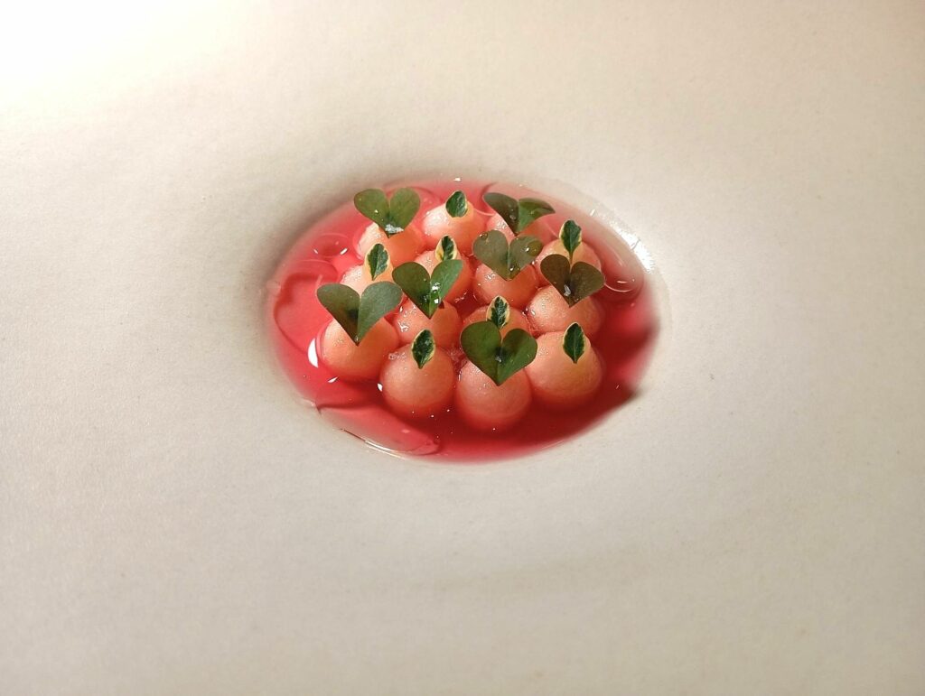 Mela selvatica, geranio, ribes nero e timo limonato.