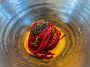 Terra – The Magic Place